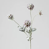 フェイクスカビオサシードポッドフラワー –23"