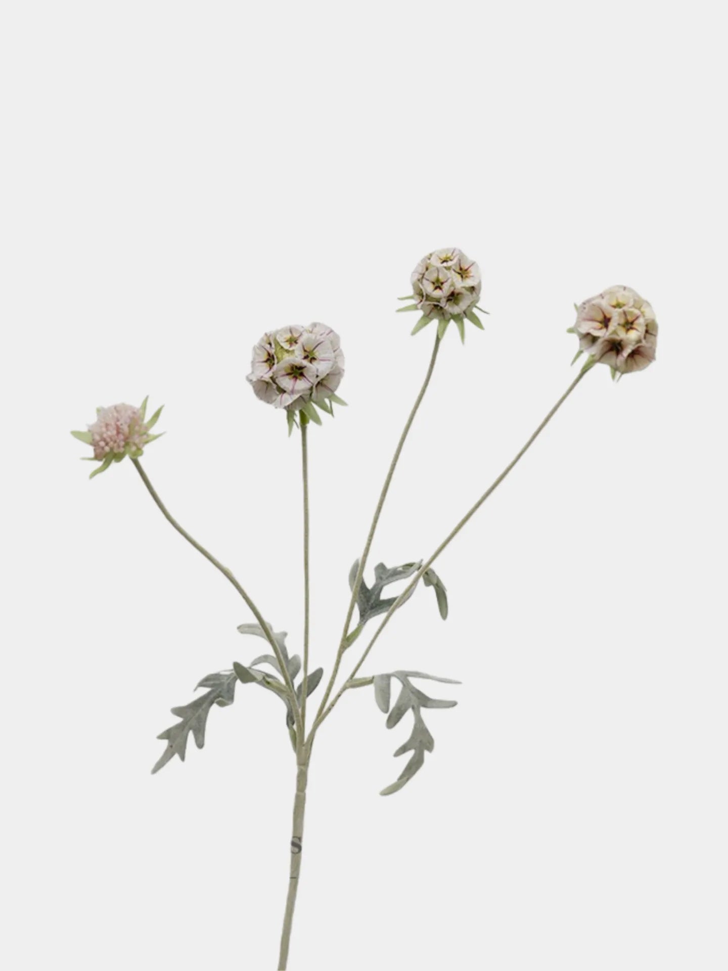 Faux Scabiosa Seed Pod Flower –23"