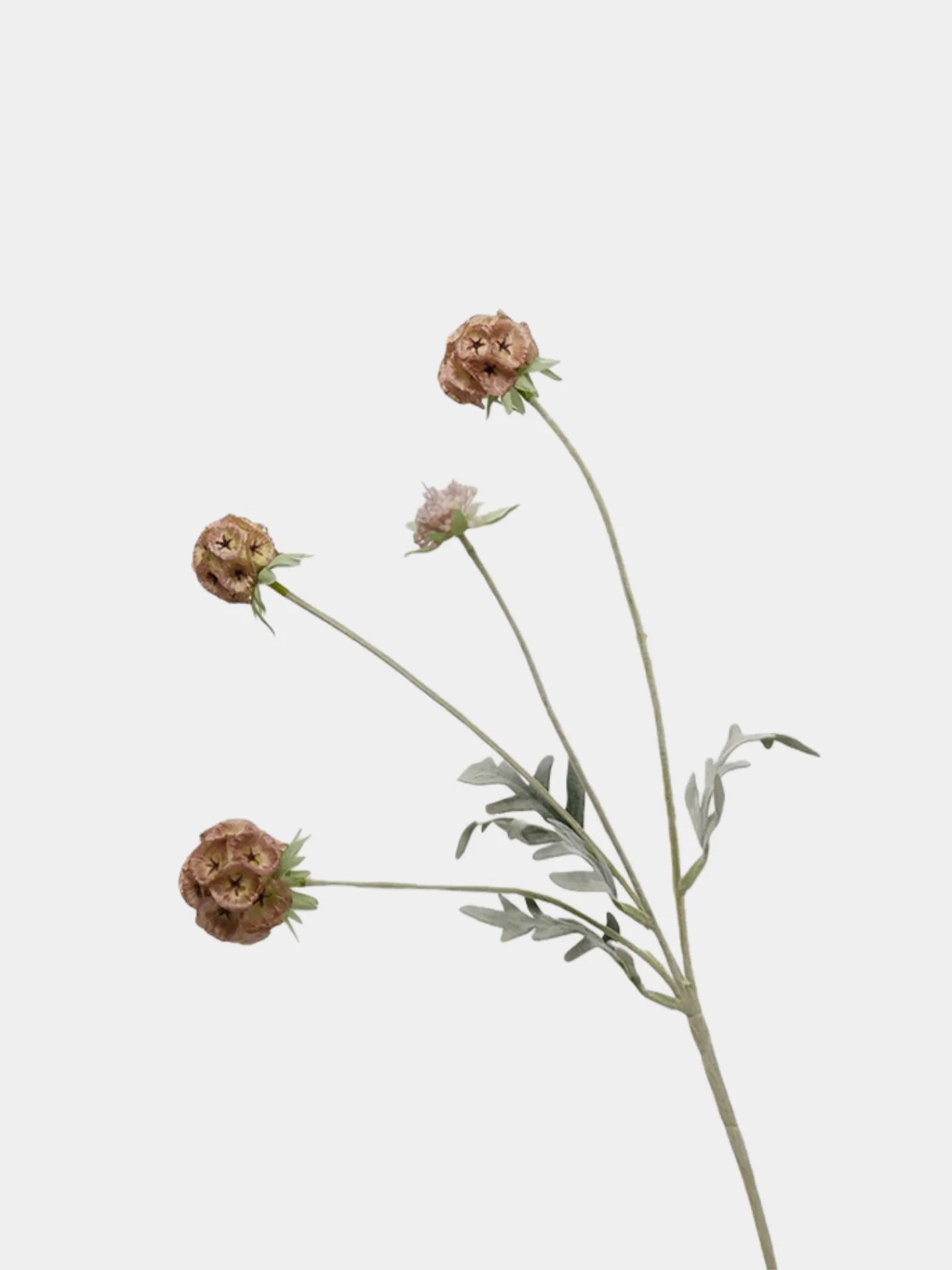 Faux Scabiosa Seed Pod Flower –23"