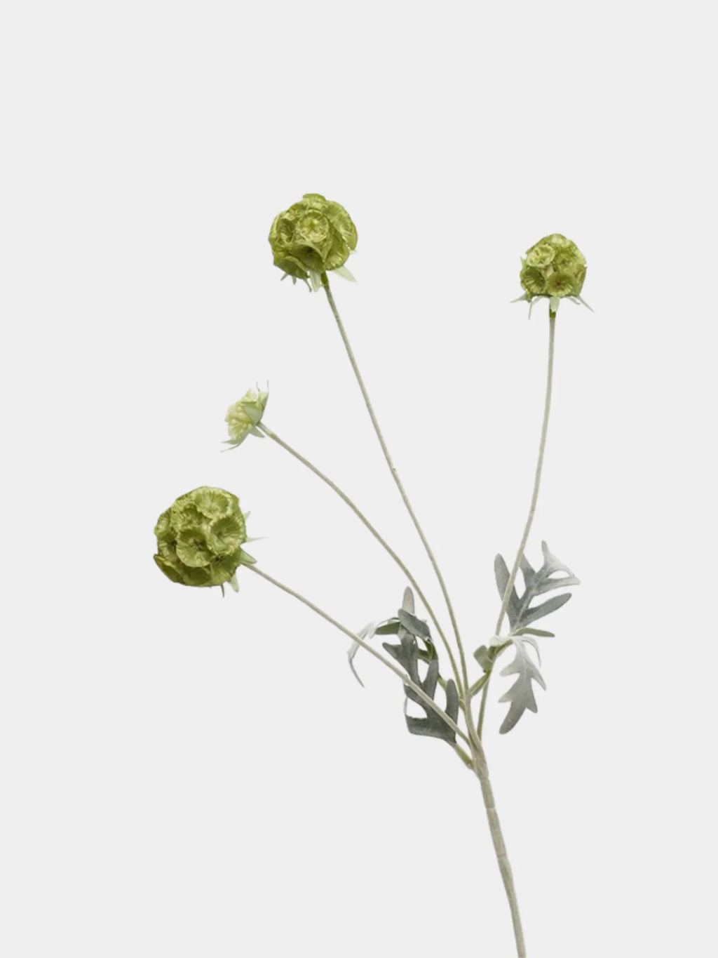 Faux Scabiosa Seed Pod Flower –23"