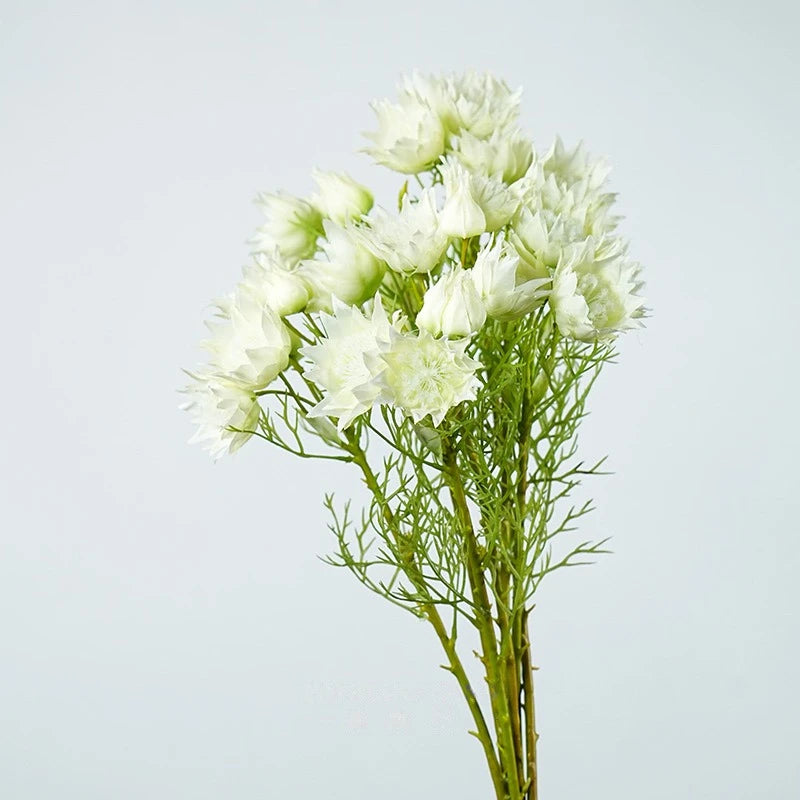 Falsche Serruria Florida Blume – 43 cm