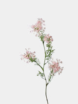 フェイク クイーン アンのレース 野生の花 – 37インチ