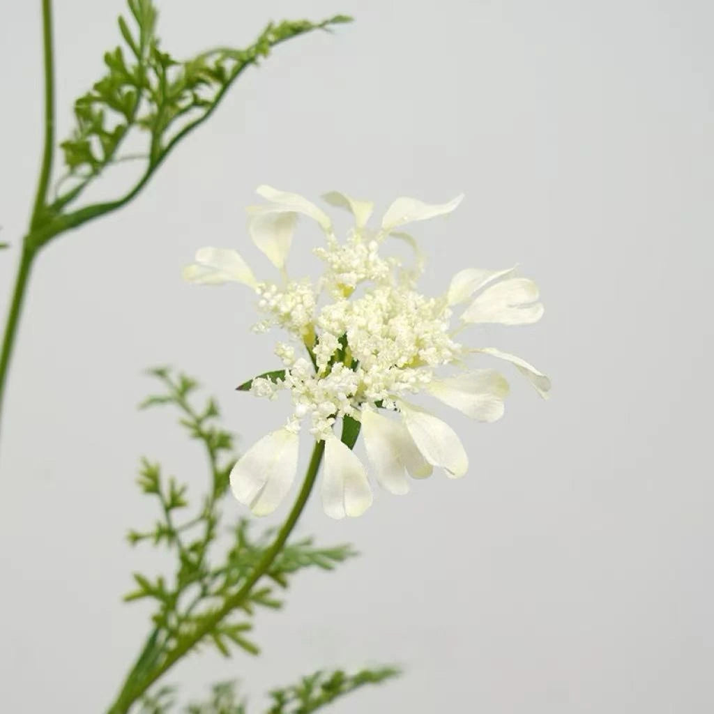 フェイク クイーン アンのレース 野生の花 – 37インチ