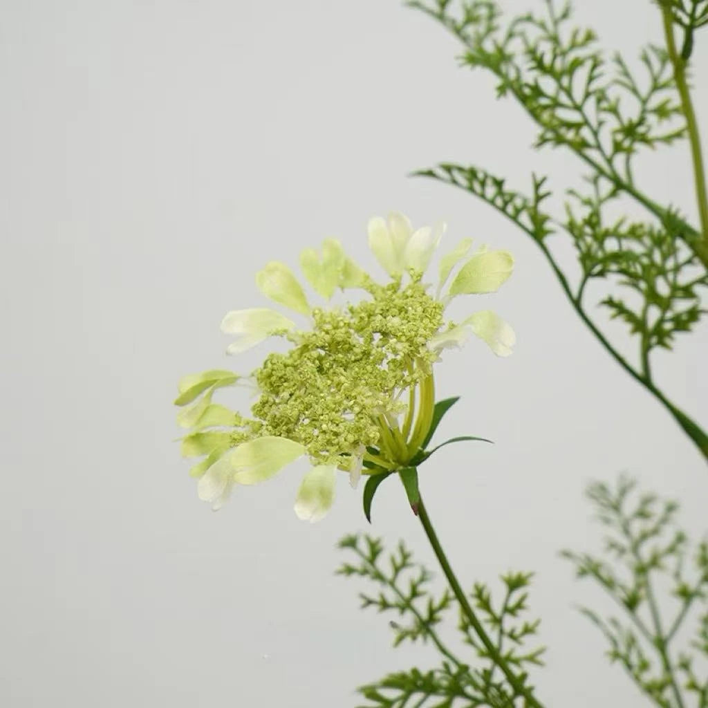 フェイク クイーン アンのレース 野生の花 – 37インチ