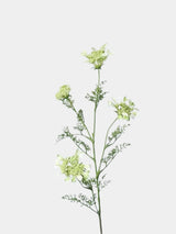 フェイク クイーン アンのレース 野生の花 – 37インチ