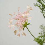 フェイク クイーン アンのレース 野生の花 – 37インチ