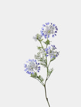 フェイク クイーン アンのレース 野生の花 – 37インチ