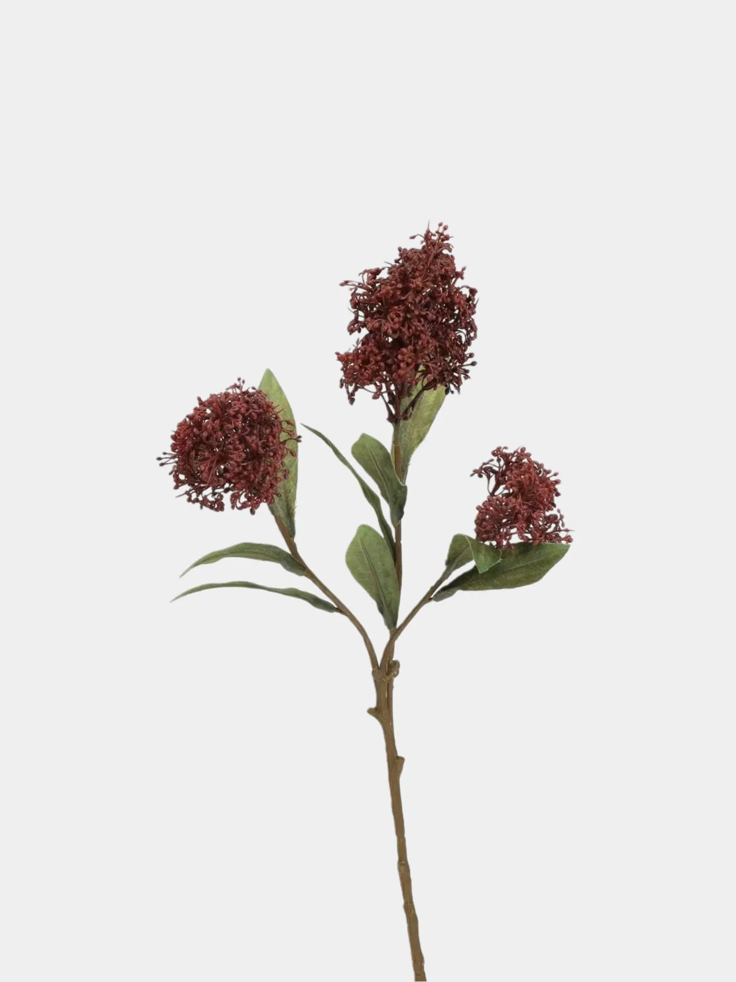 フェイクスキミアベリーステム -22.8"