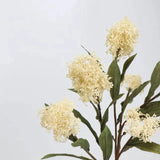 フェイクスキミアベリーステム -22.8"