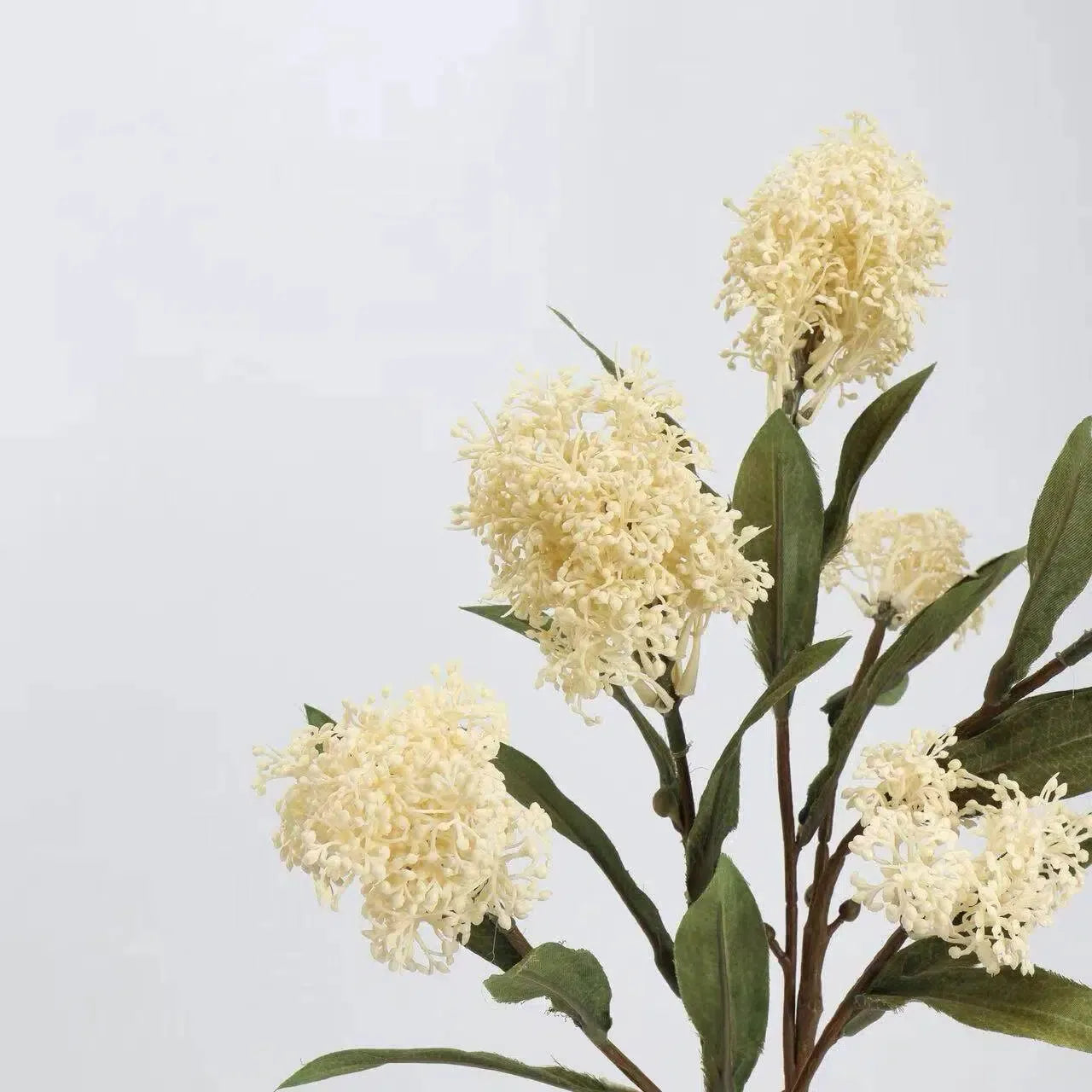 フェイクスキミアベリーステム -22.8"