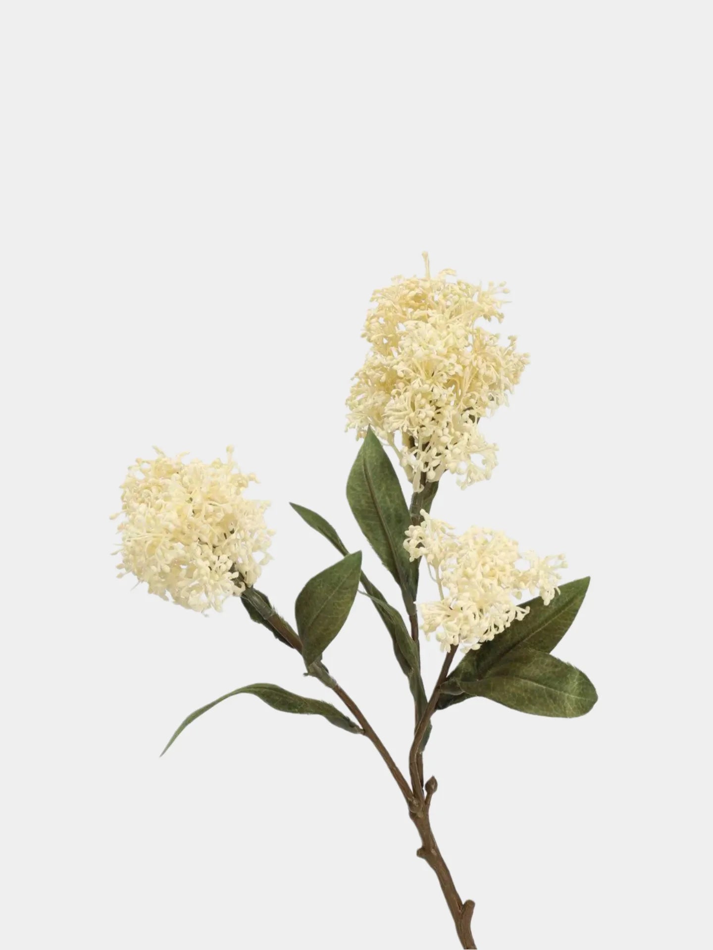 フェイクスキミアベリーステム -22.8"