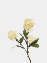 フェイクスキミアベリーステム -22.8"