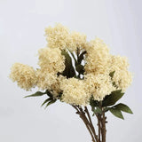 フェイクスキミアベリーステム -22.8"