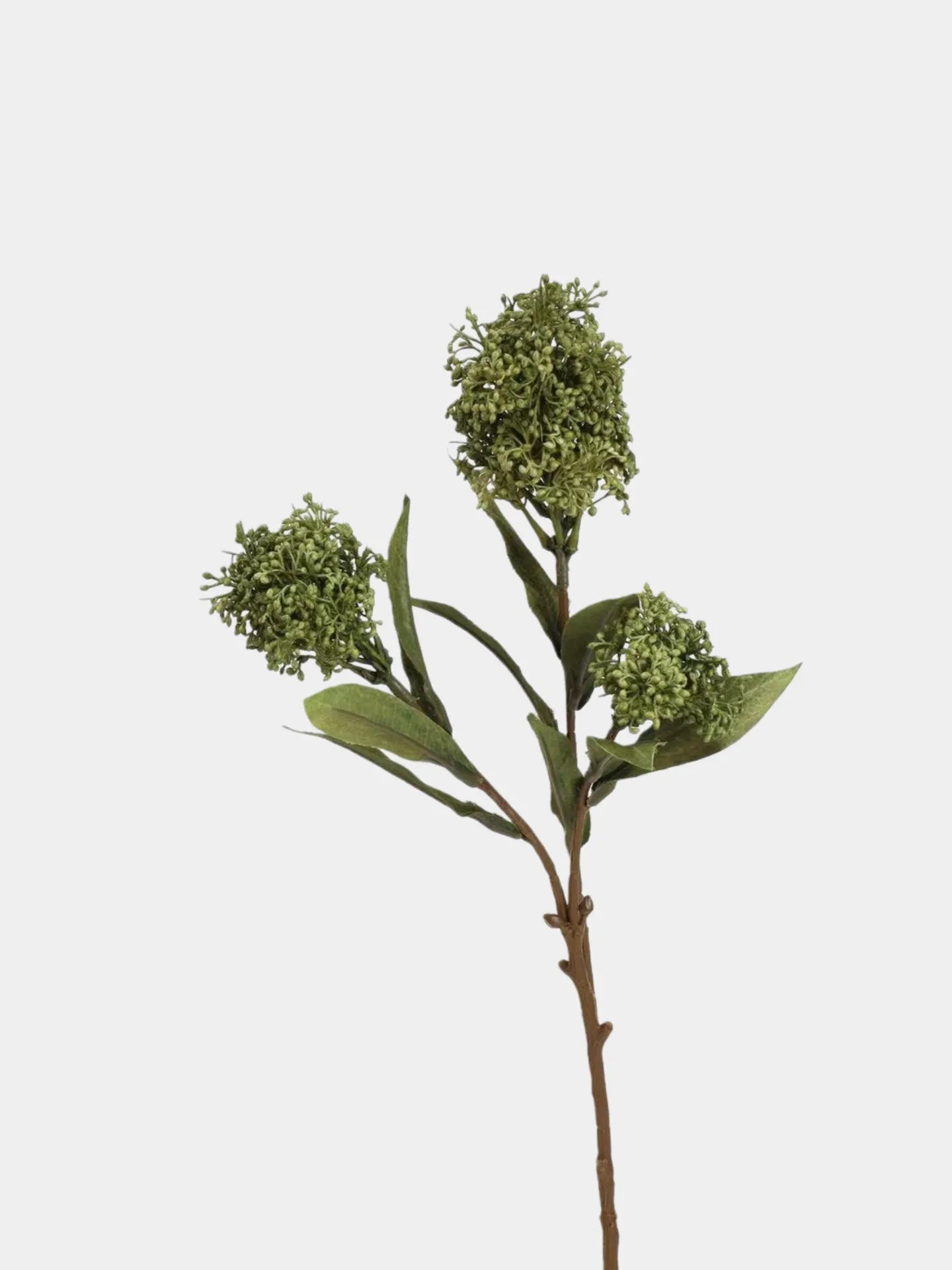 フェイクスキミアベリーステム -22.8"