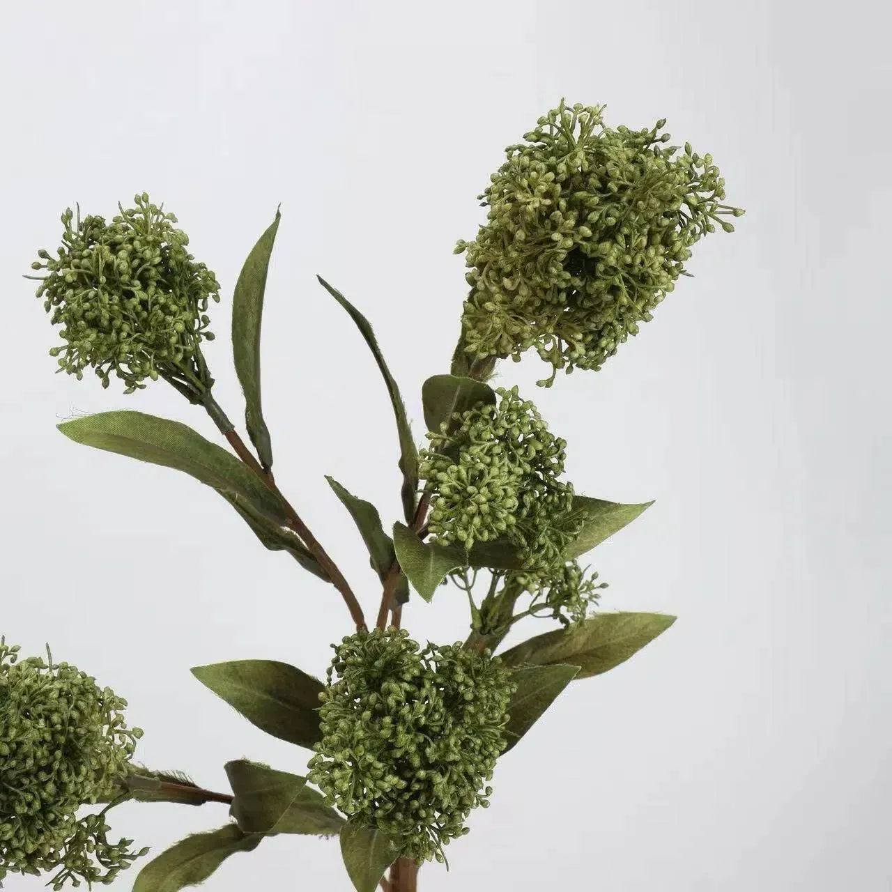 フェイクスキミアベリーステム -22.8"