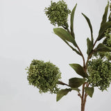 フェイクスキミアベリーステム -22.8"