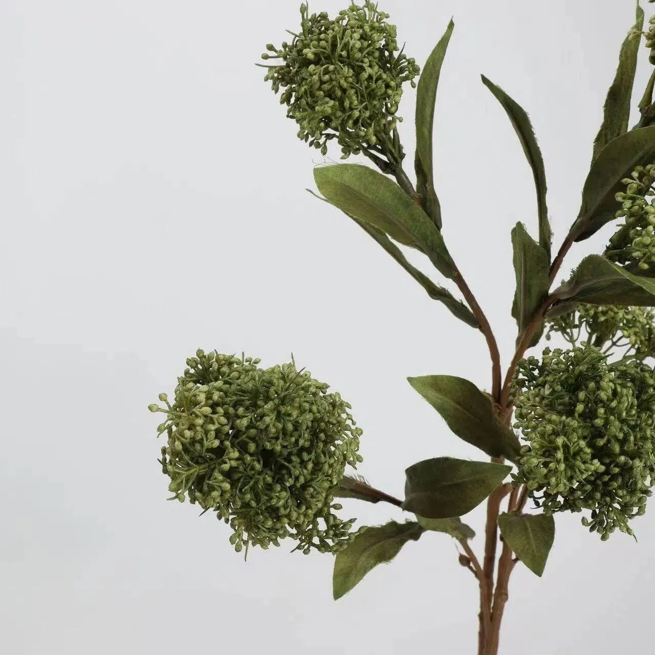 フェイクスキミアベリーステム -22.8"