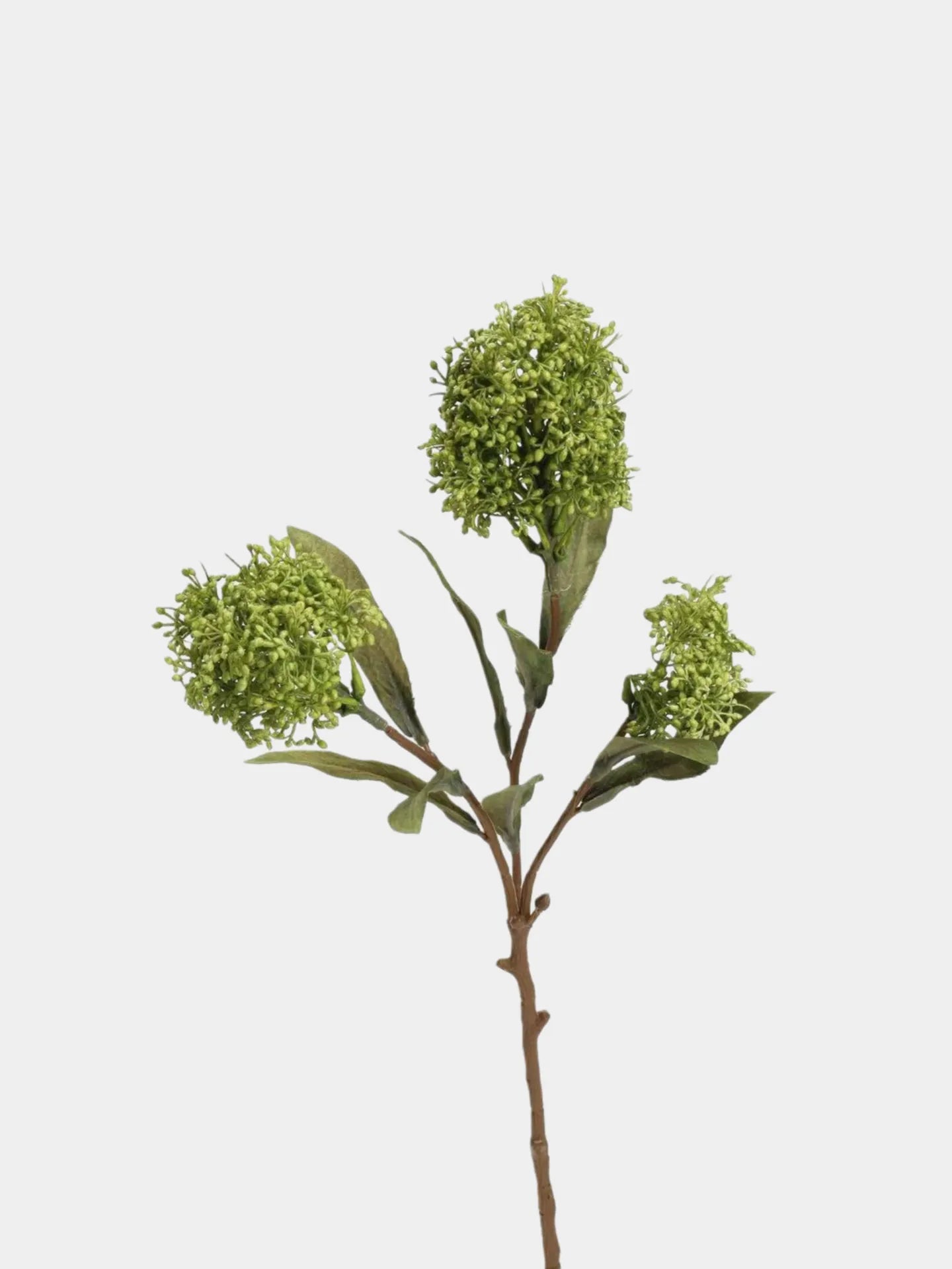 フェイクスキミアベリーステム -22.8"