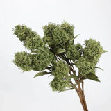 フェイクスキミアベリーステム -22.8"