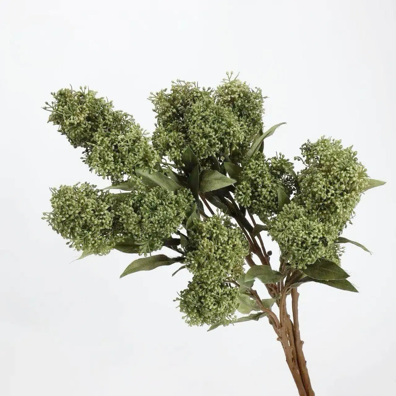 フェイクスキミアベリーステム -22.8"