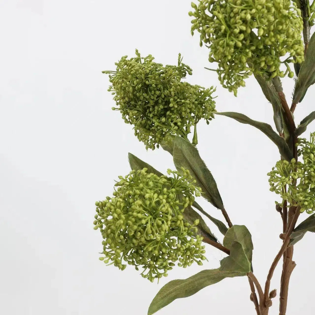 フェイクスキミアベリーステム -22.8"