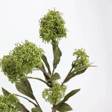 フェイクスキミアベリーステム -22.8"