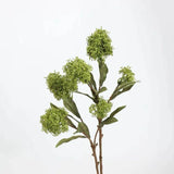 フェイクスキミアベリーステム -22.8"