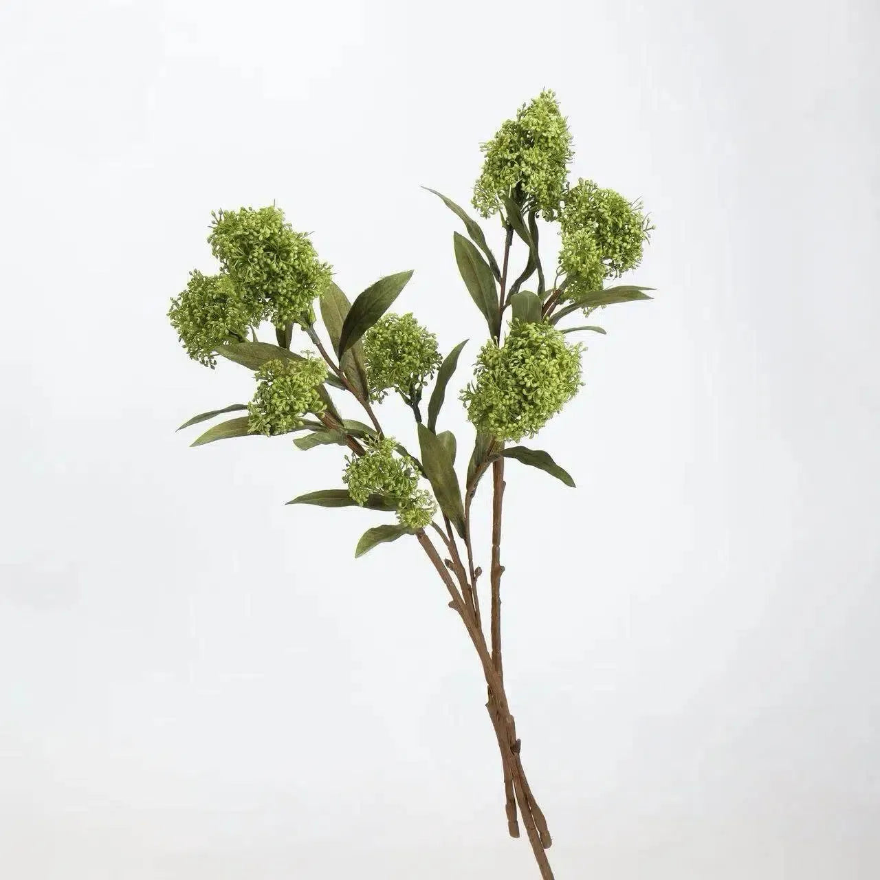 フェイクスキミアベリーステム -22.8"