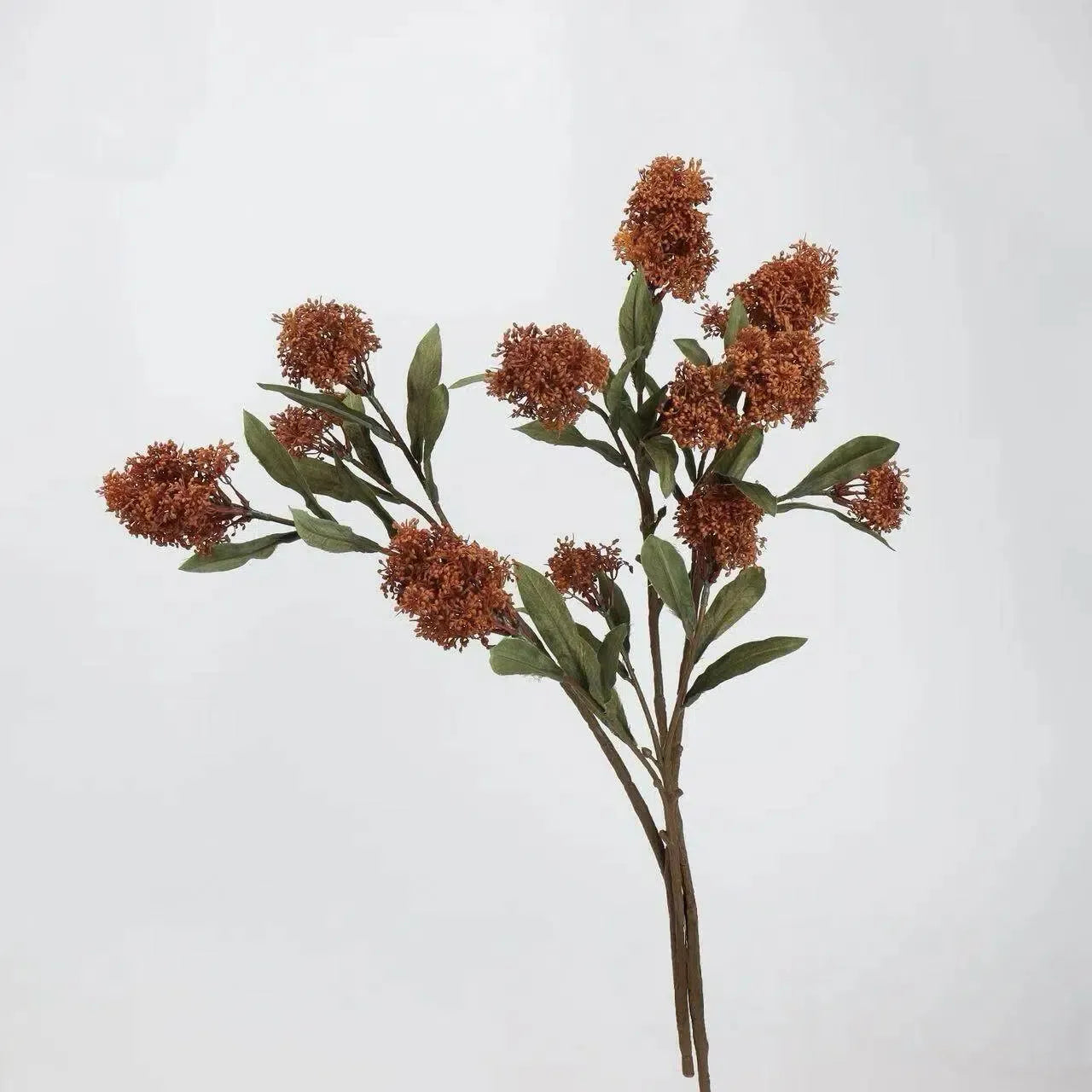 フェイクスキミアベリーステム -22.8"