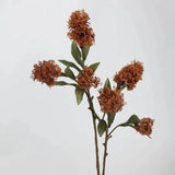 フェイクスキミアベリーステム -22.8"