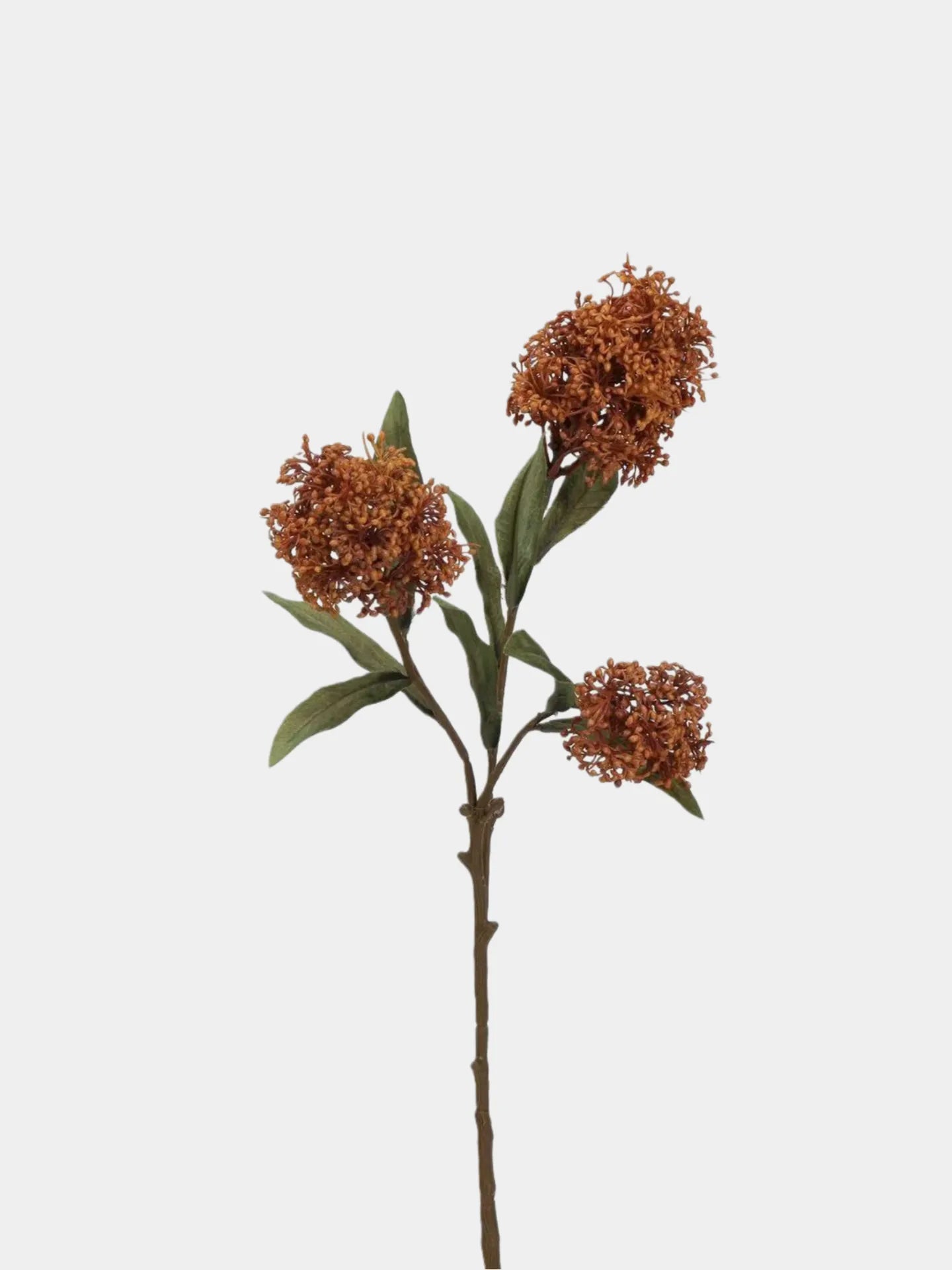 フェイクスキミアベリーステム -22.8"