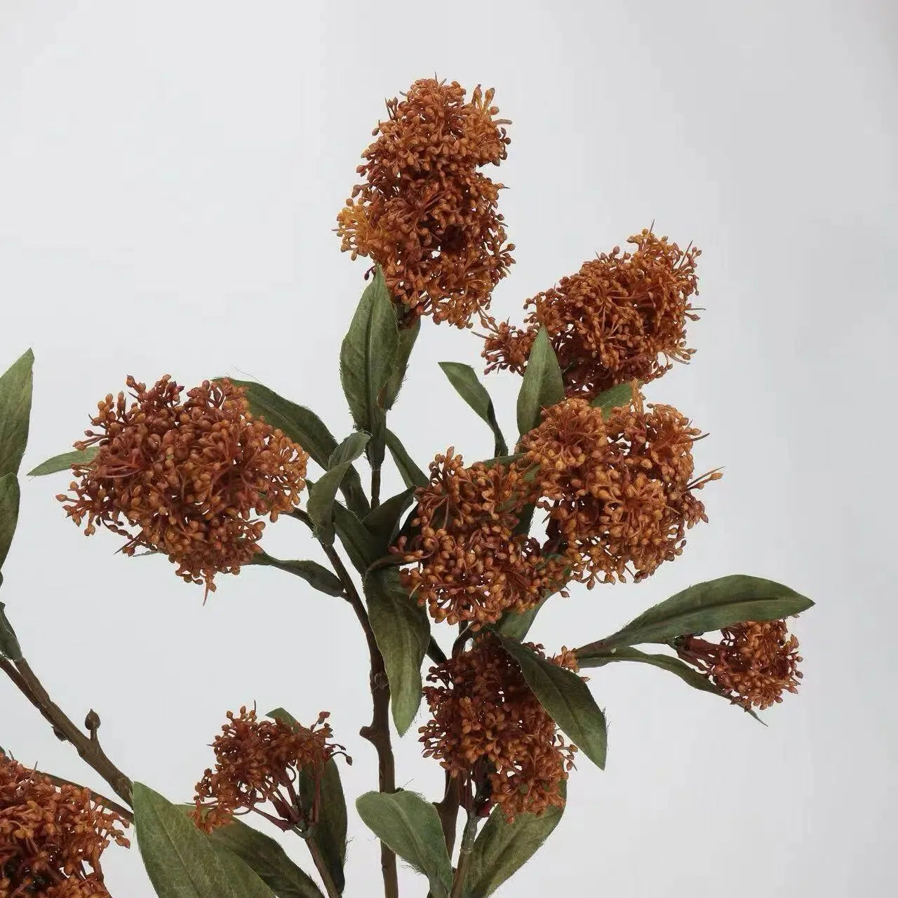 フェイクスキミアベリーステム -22.8"