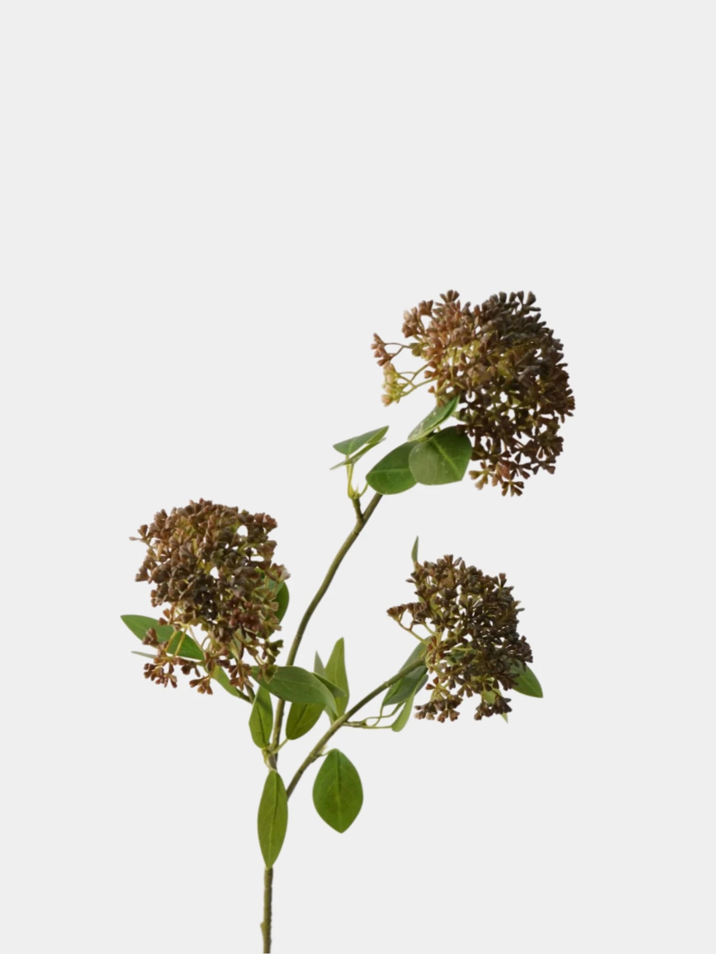 Faux Skimmia Berry – 31"