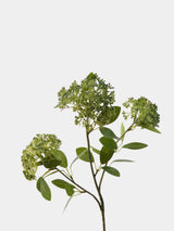 Faux Skimmia Berry – 31"