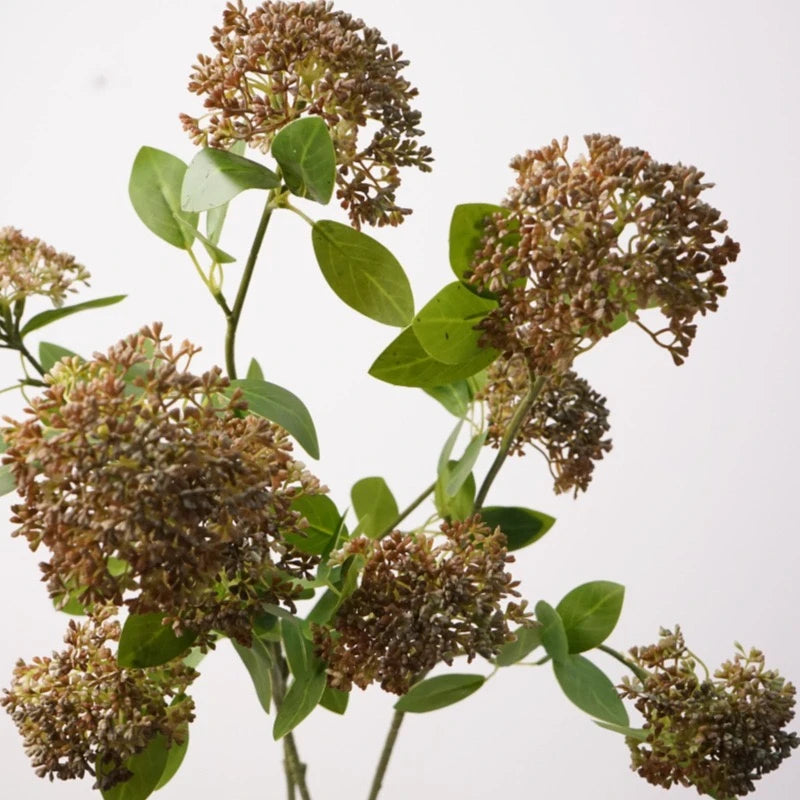 Faux Skimmia Berry – 31"