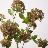 Faux Skimmia Berry – 31"