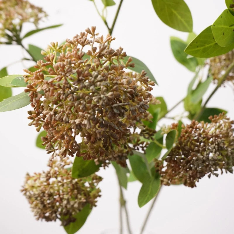 Faux Skimmia Berry – 31"