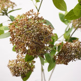 Faux Skimmia Berry – 31"