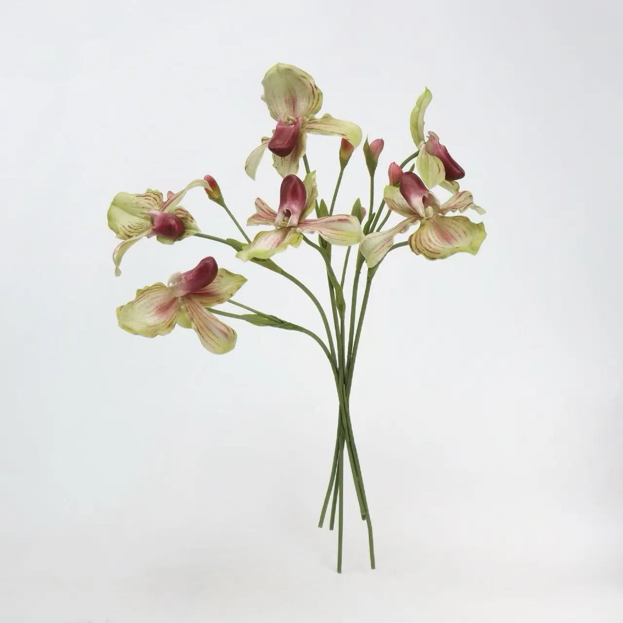 Real Touch Faux Slipper Orchid Stem– 26″ Green/Pink