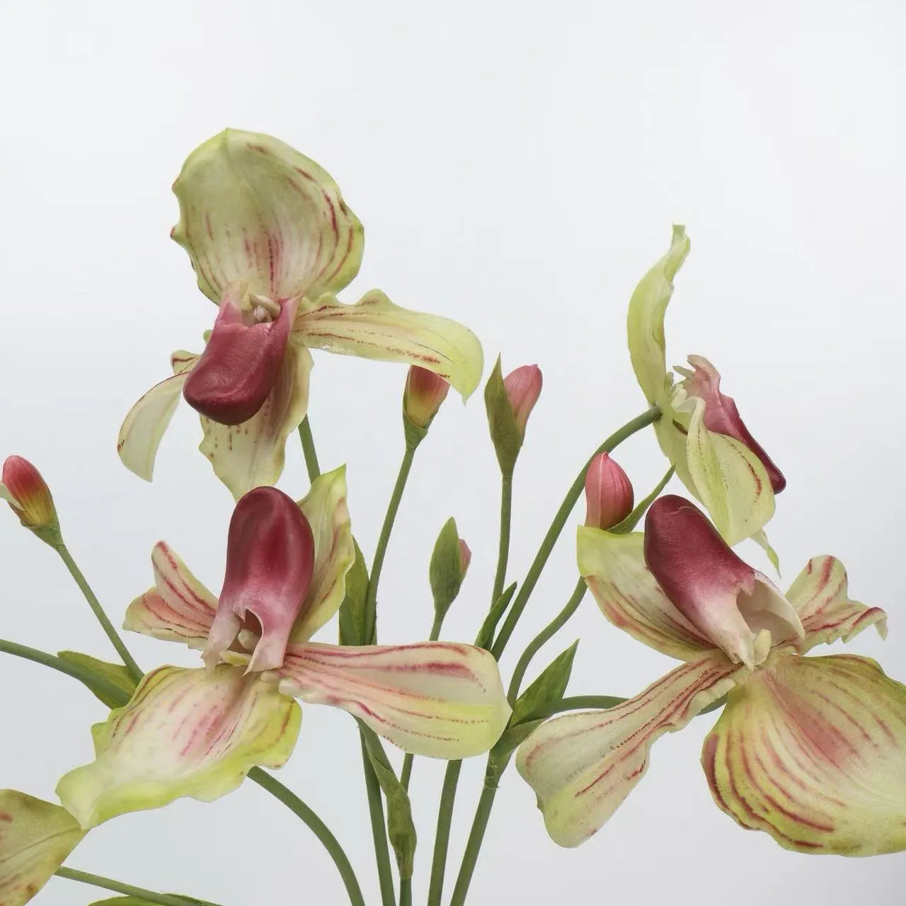 Echte Haptik Künstliche Pantoffel-Orchideen-Stiel – 66 cm Grün/Pink