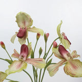 Echte Haptik Künstliche Pantoffel-Orchideen-Stiel – 66 cm Grün/Pink