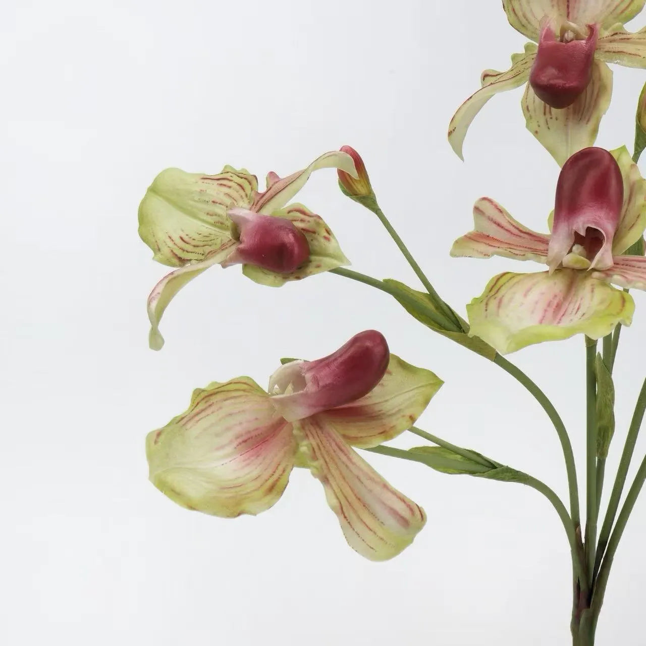 Echte Haptik Künstliche Pantoffel-Orchideen-Stiel – 66 cm Grün/Pink