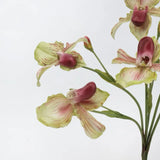 Echte Haptik Künstliche Pantoffel-Orchideen-Stiel – 66 cm Grün/Pink