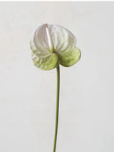 Faux Small Anthurium – 22"