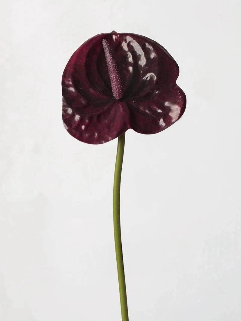 Faux Small Anthurium – 22"