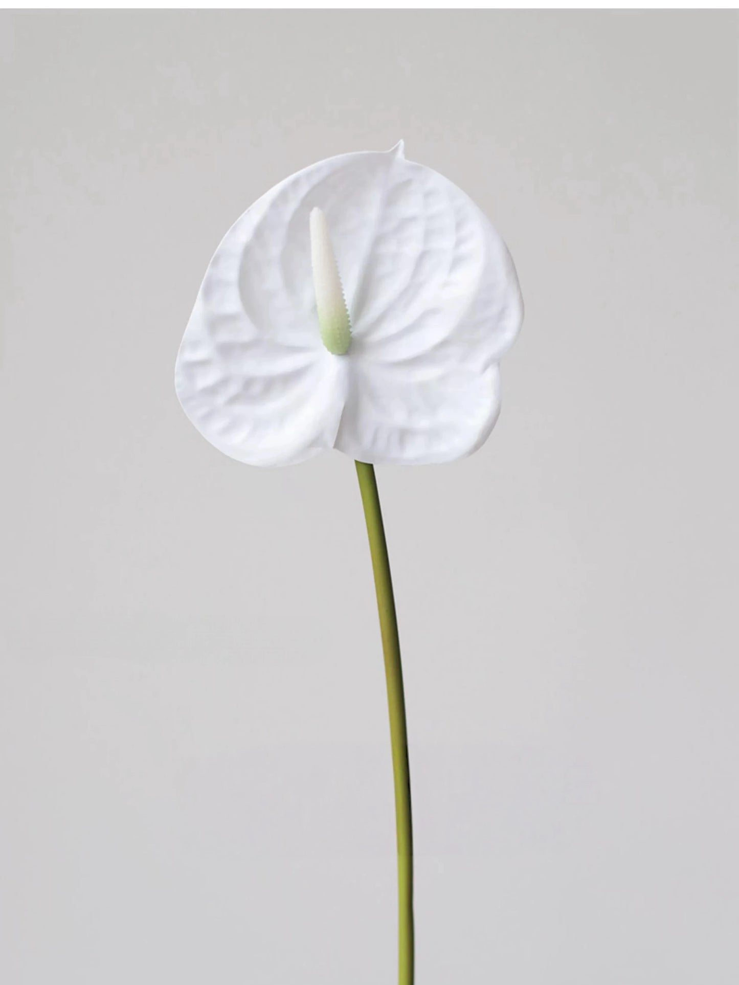Faux Small Anthurium – 22"