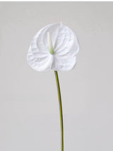 Faux Small Anthurium – 22"