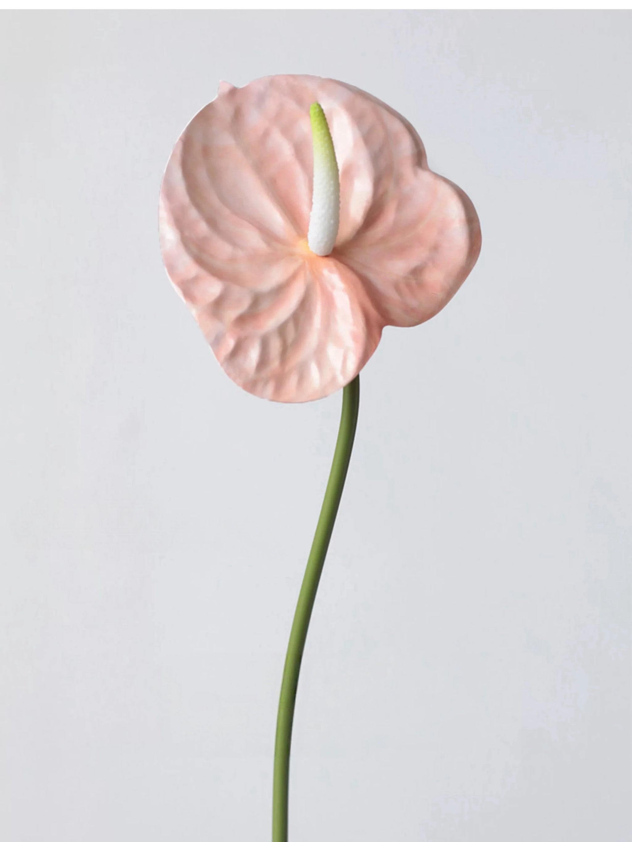 Faux Small Anthurium – 22"