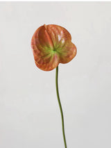 Faux Small Anthurium – 22"