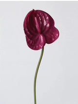 Faux Small Anthurium – 22"